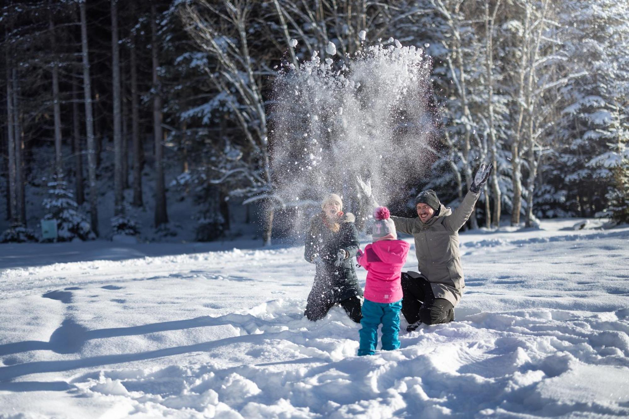 Feriengut Ottacherhof - Active Family Holiday In Central Hollersbach Hollersbach im Pinzgau Exterior photo